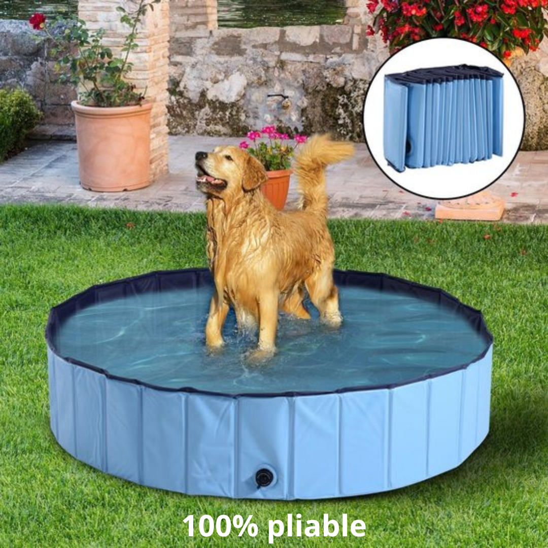 FUNPOOL™| PISCINE PLIABLE POUR CHIEN