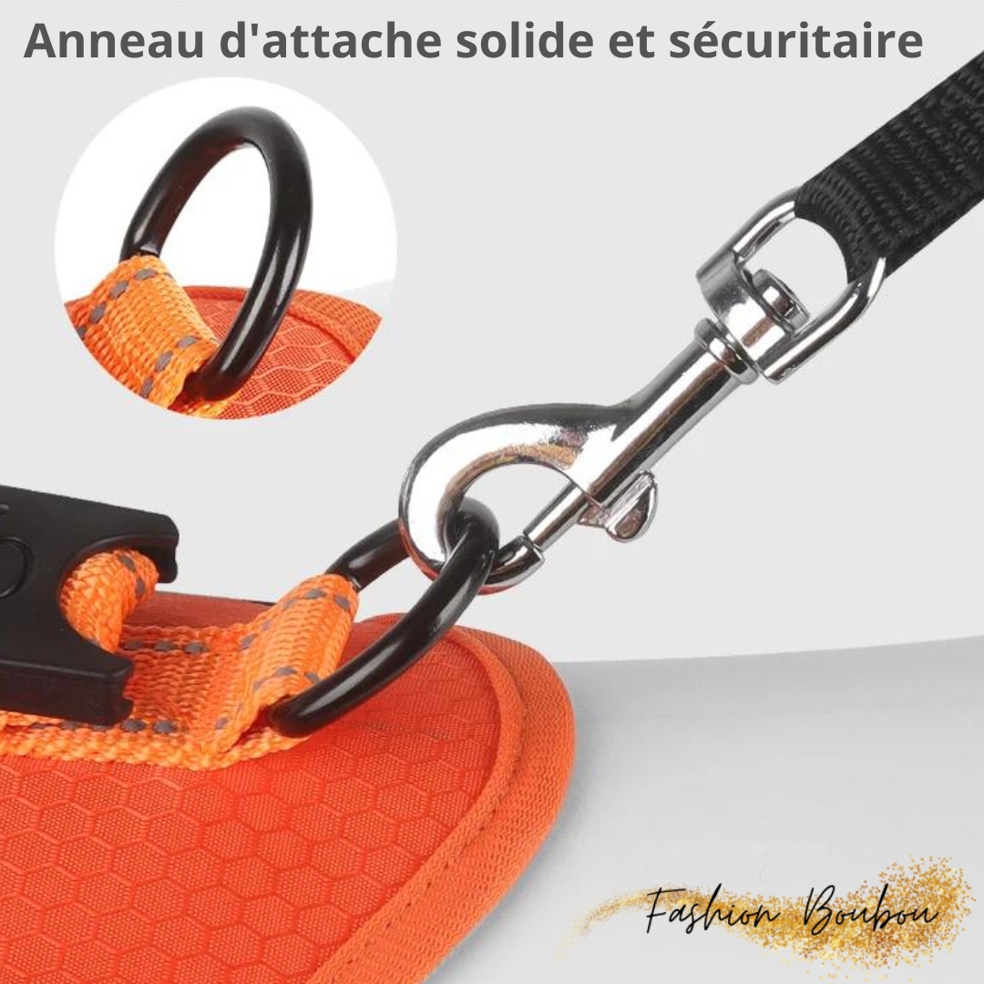 Harnais-COMFY-WALK™ Harnais pour animaux de compagnie