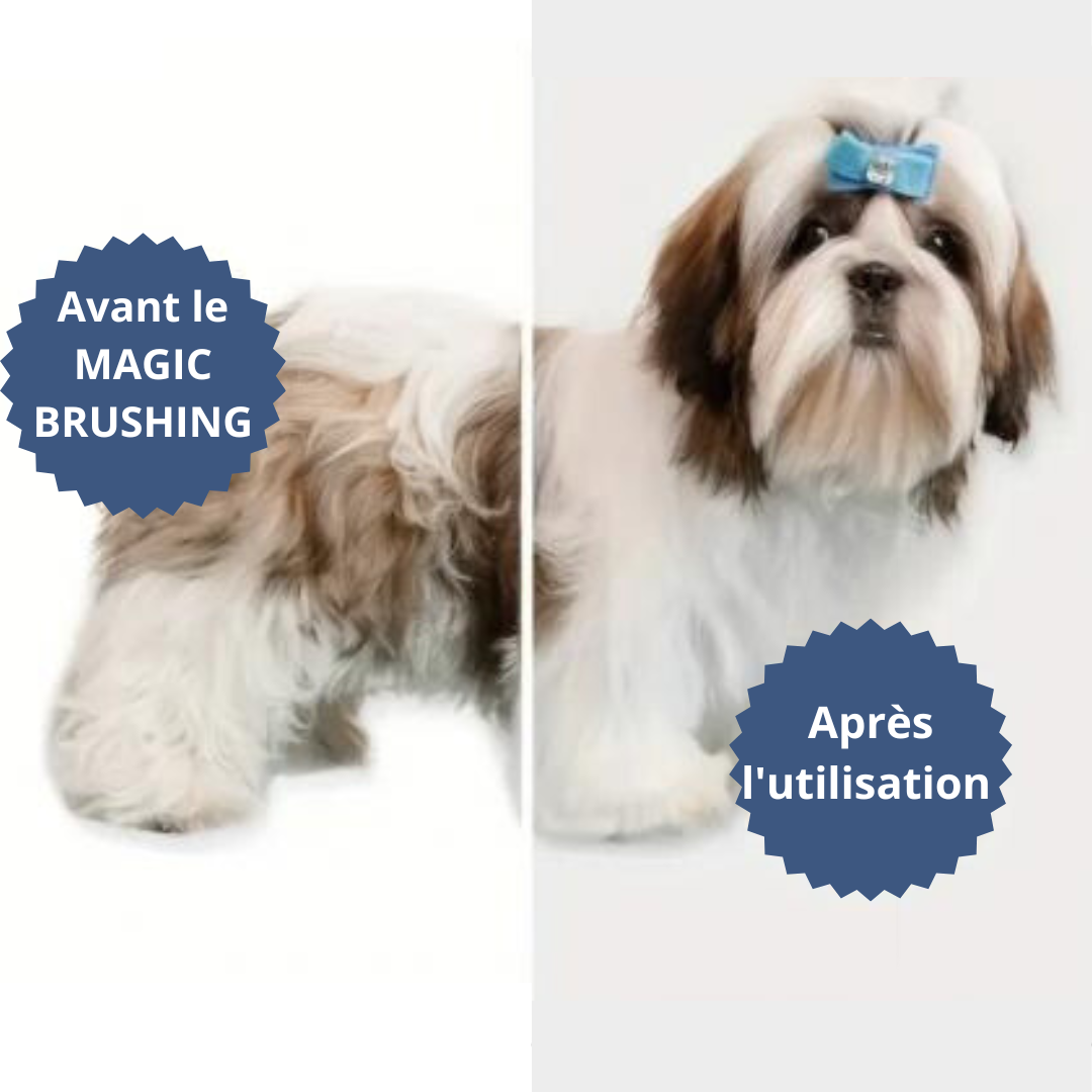 MAGIC-BRUSHING-BRUSH™ Brosse séchoir pour animal de compagnie