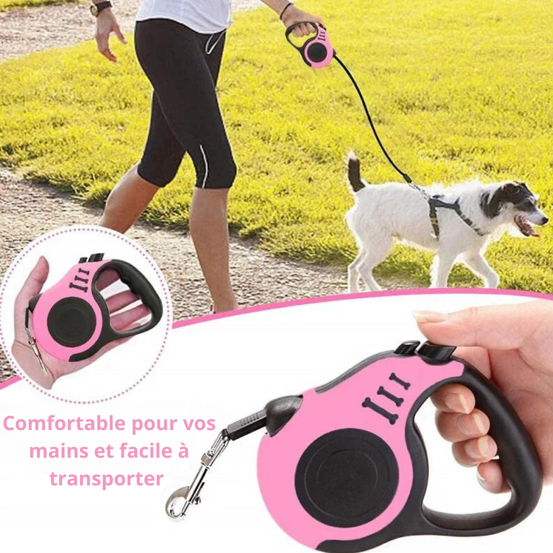 RE-TRACK™Laisse rétractable pour animaux de compagnie