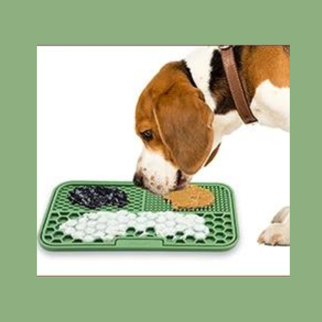 BUSY-DOGGY-MATT ™ gamelle pour animal de compagnie