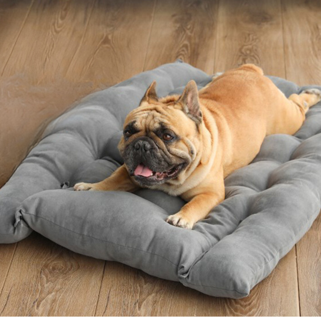 STYLISH BED™ MULTIFONCTIONEL-lit pour chien