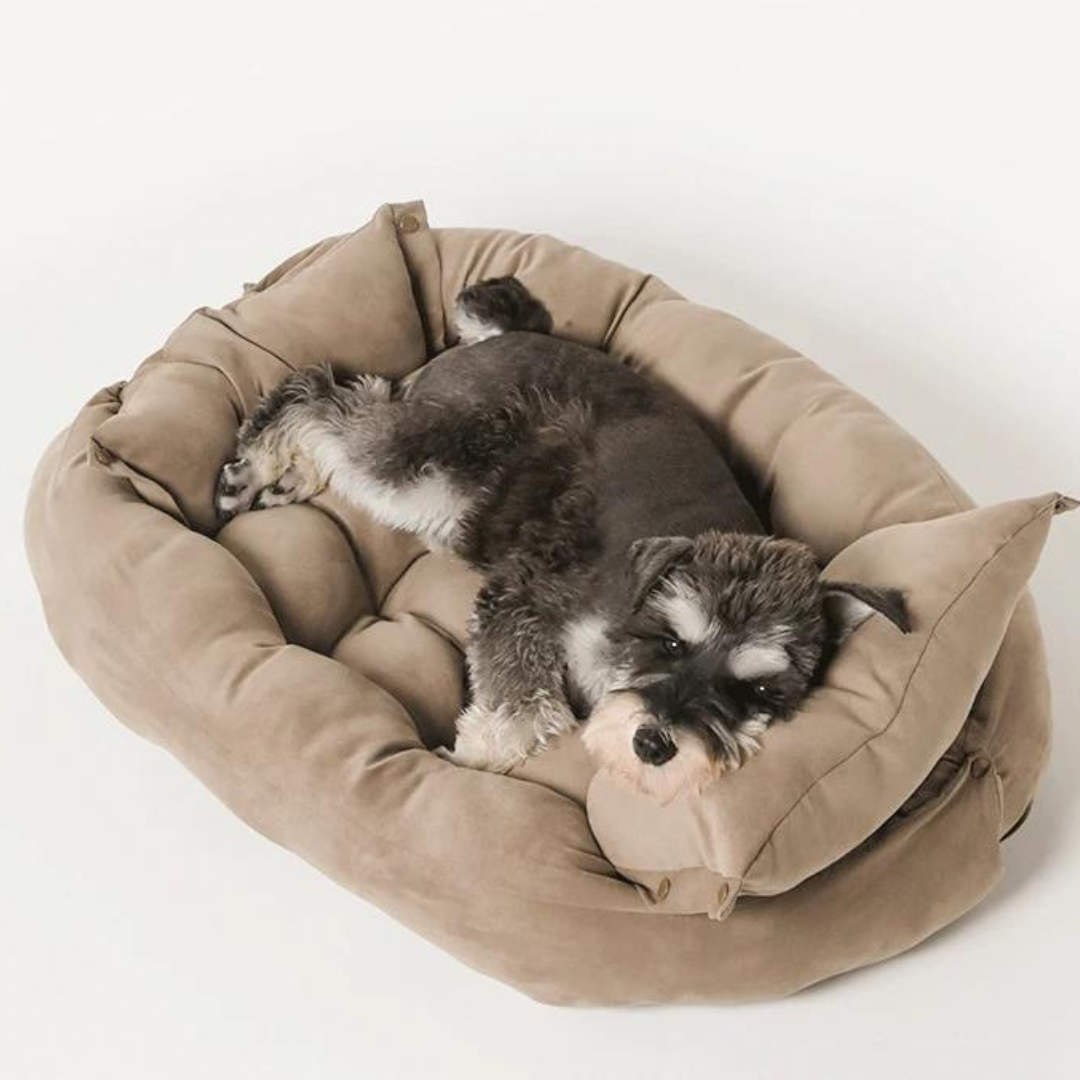 STYLISH BED™ MULTIFONCTIONEL-lit pour chien