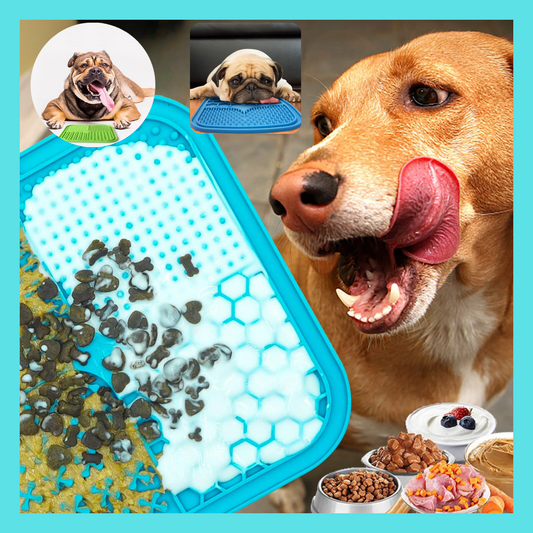 BUSY-DOGGY-SQUARE™ gamelle pour animal de compagnie