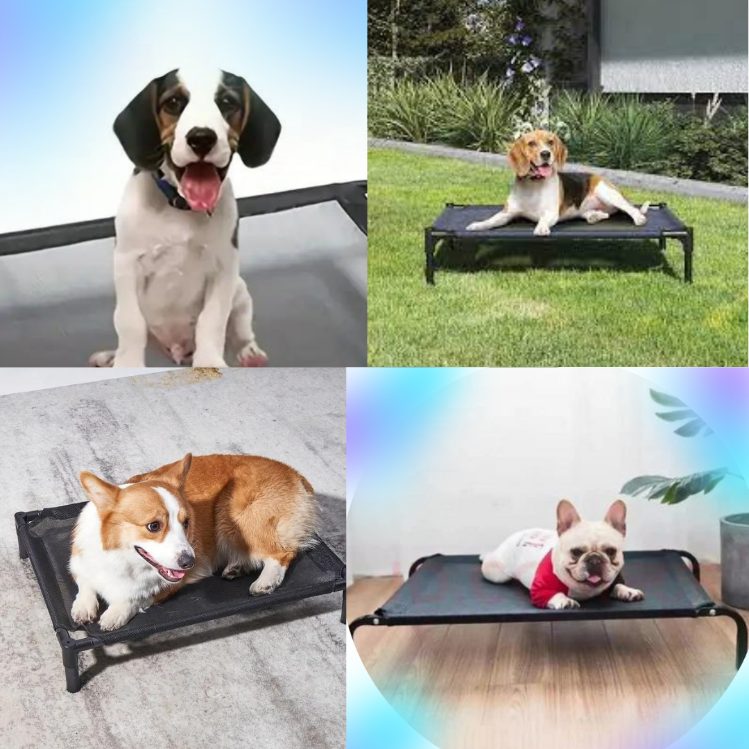 DOGGY-SUN-BED ™ Lit 4 saisons pour chien