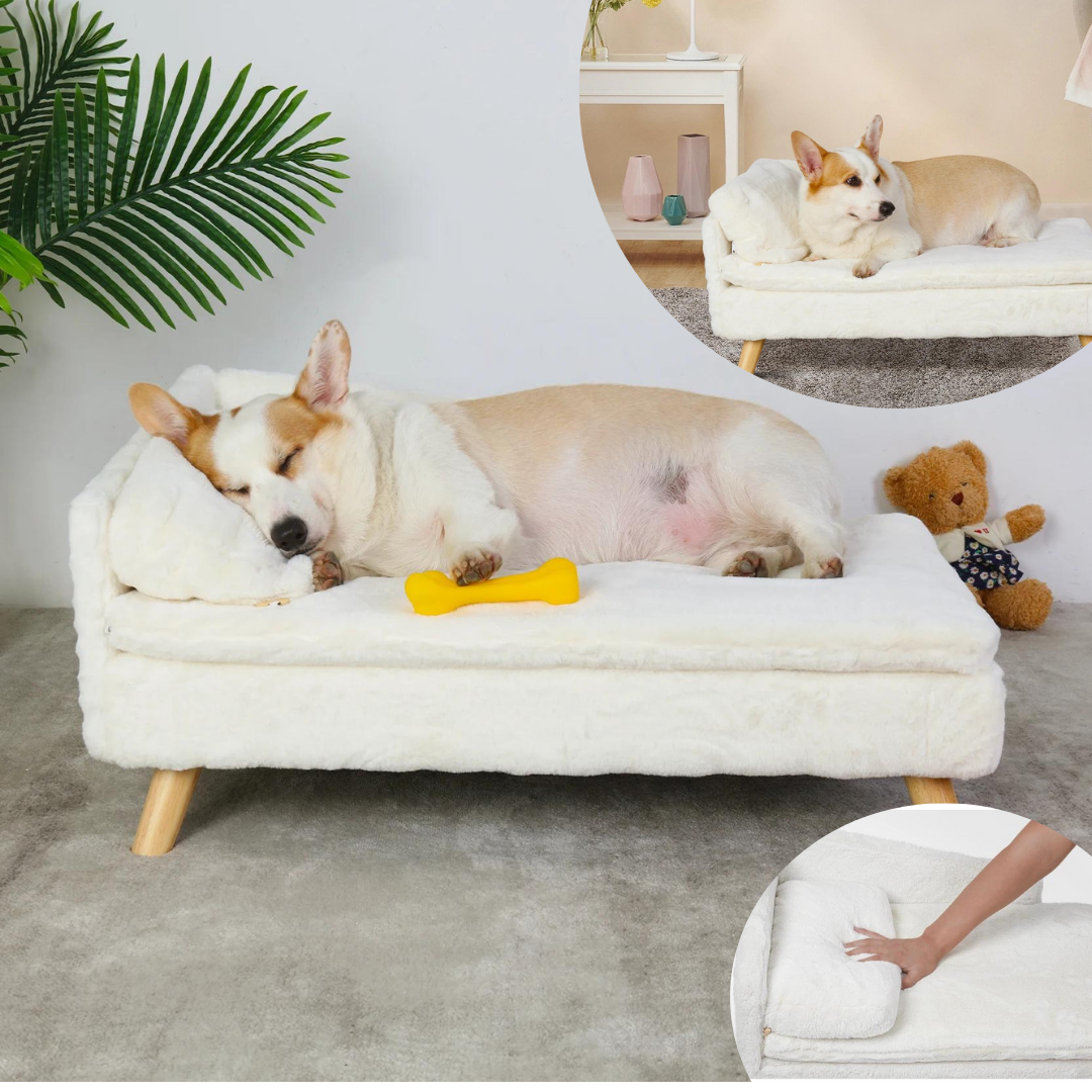 LOUNGY-SOFA™ Canapé lit pour chien