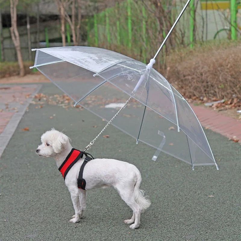 Le DOGGY-UMBRELLA™ parapluie pour animal de compagnie