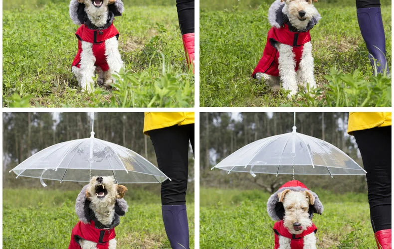 Le DOGGY-UMBRELLA™ parapluie pour animal de compagnie