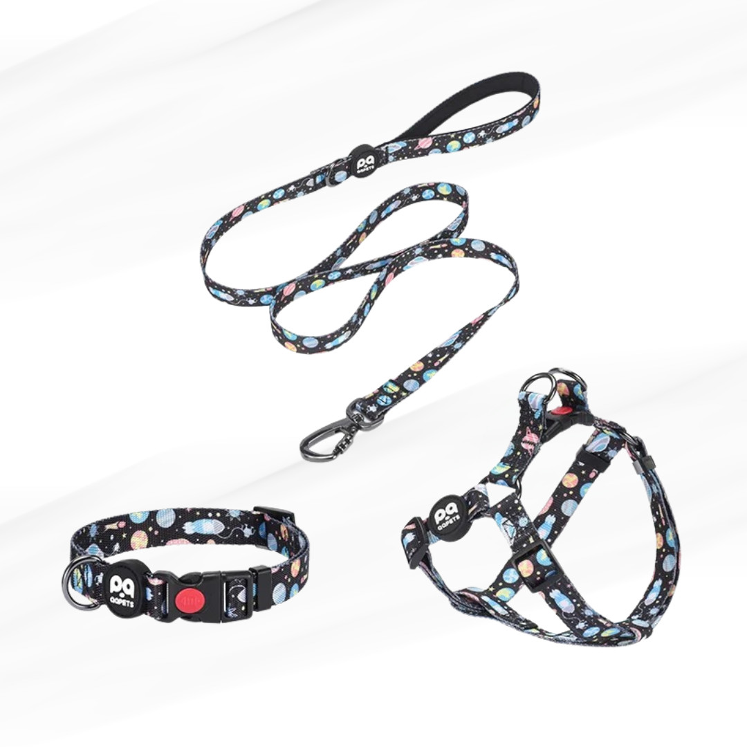 LE DOGCOLOR™-Ensemble harnais ajustable avec laisse et collier