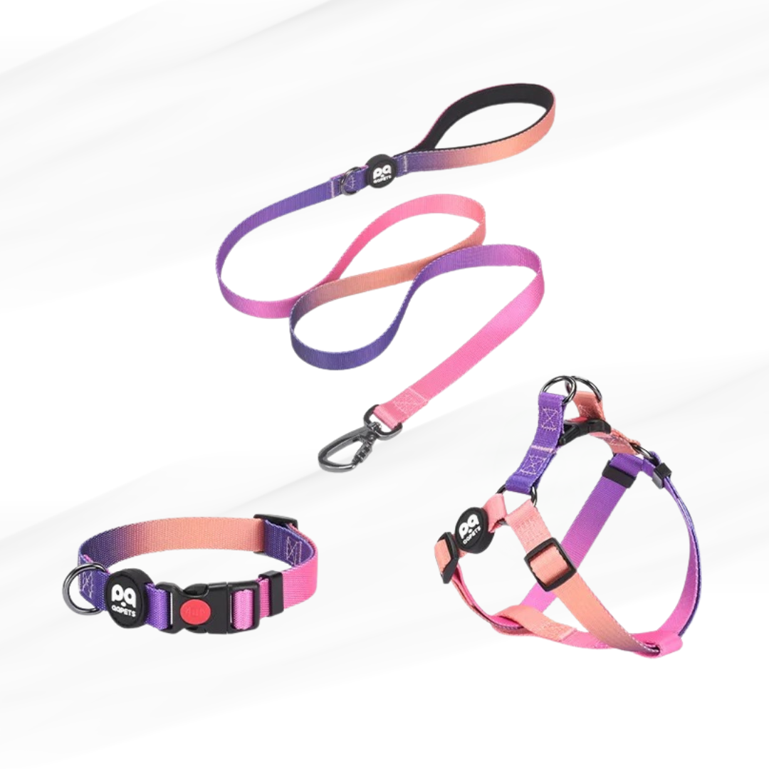 LE DOGCOLOR™-Ensemble harnais ajustable avec laisse et collier