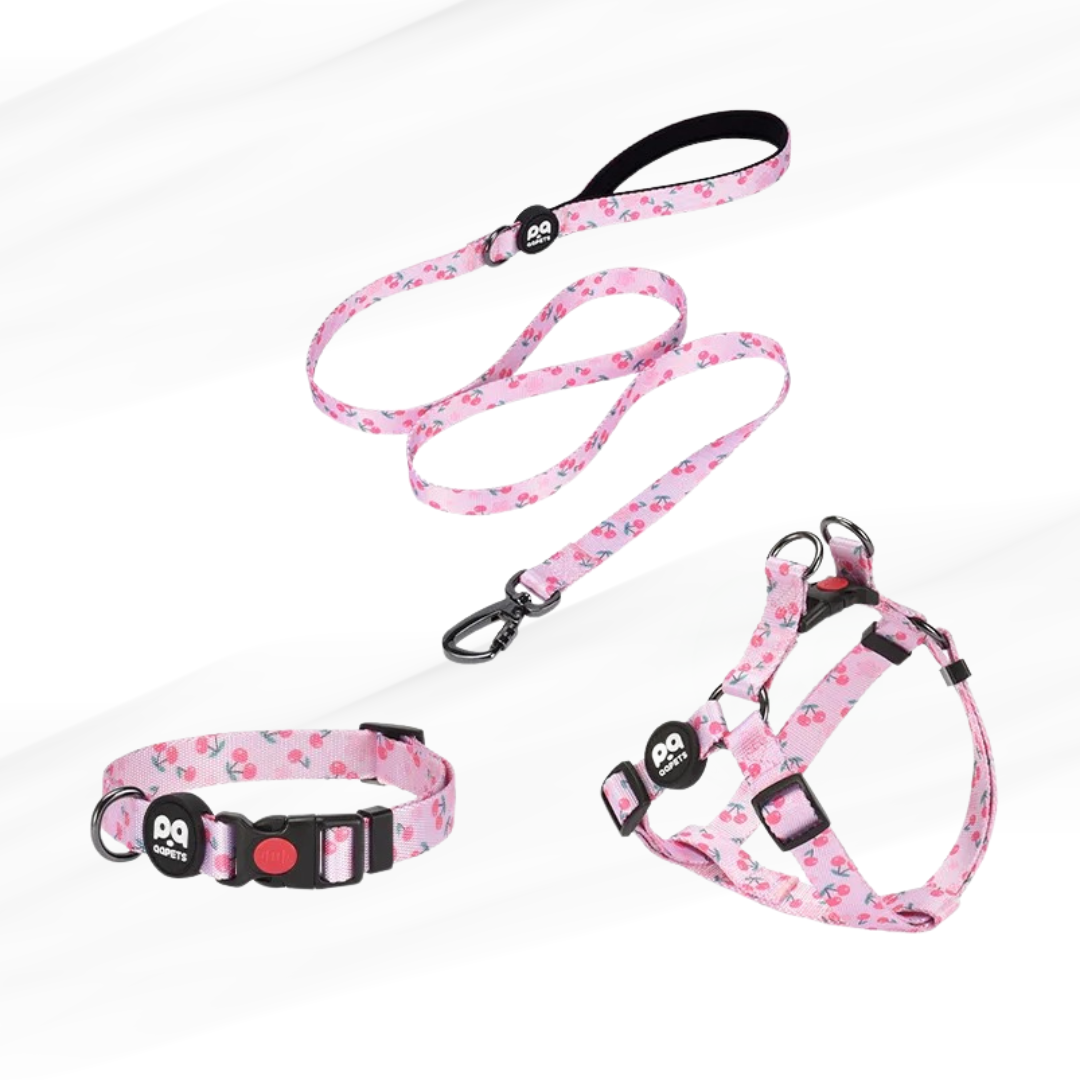 LE DOGCOLOR™-Ensemble harnais ajustable avec laisse et collier