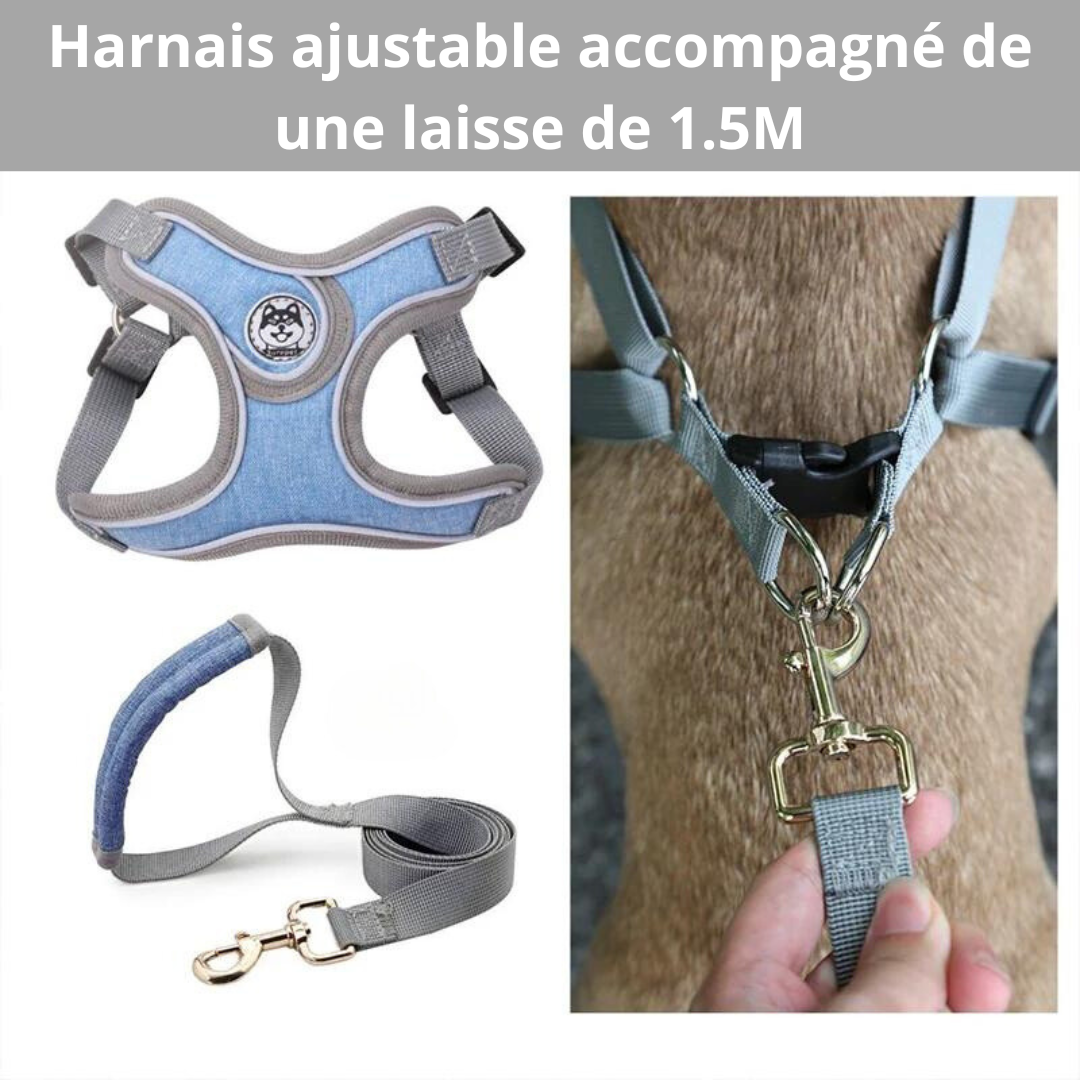 SPORTY-WALK™ Ensemble harnais et laisse