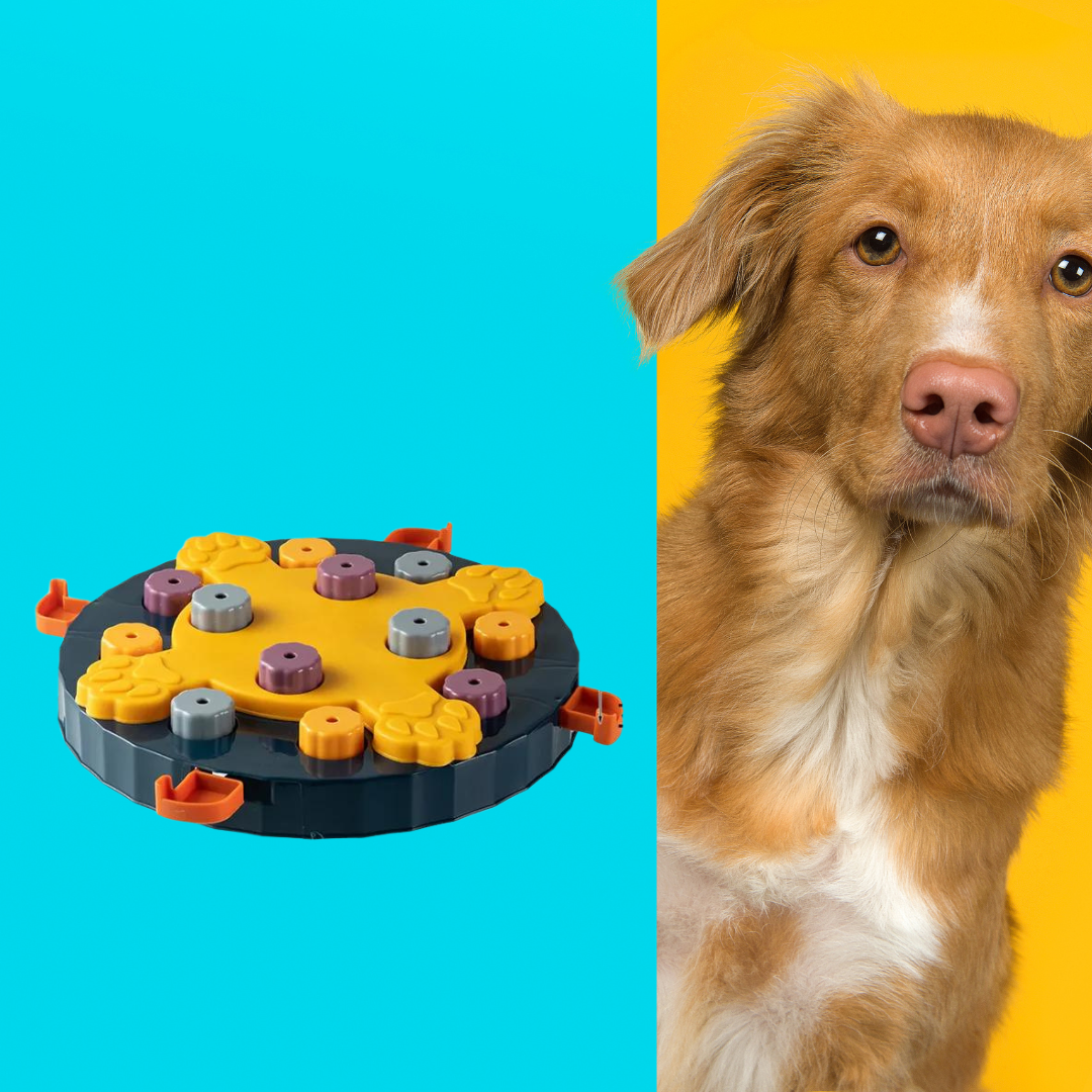 SMART PUZZLE™ jeu interactif pour animaux de compagnie