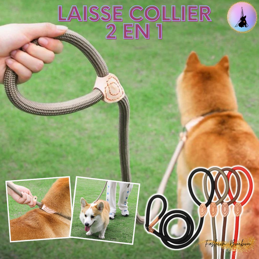 2 in 1 -LEASH™ laisse-collier 2 en 1