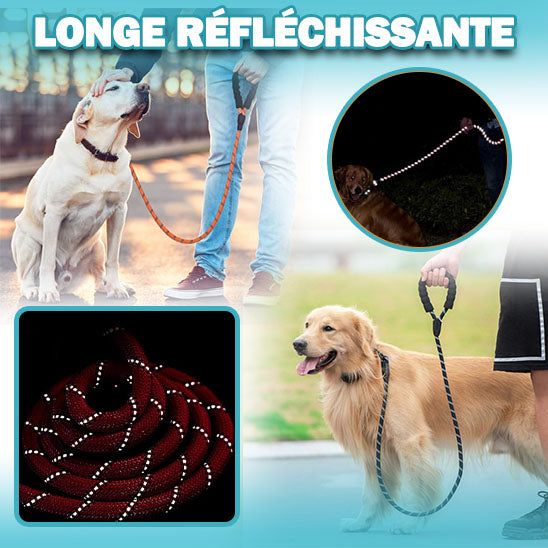 Laisse-pour-chien-LaisseEduc™