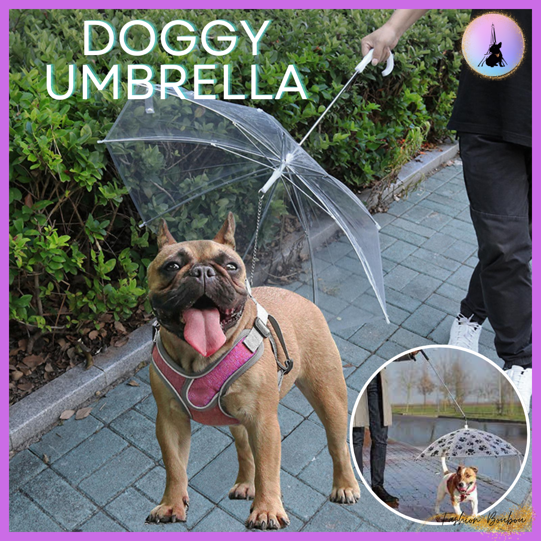 Le DOGGY-UMBRELLA™ parapluie pour animal de compagnie