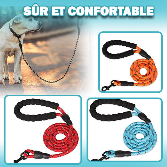 Laisse-pour-chien-LaisseEduc™