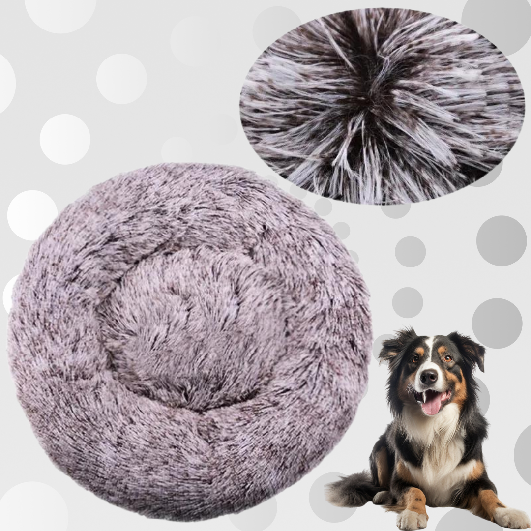 Lit-pour-chien-violet-gris