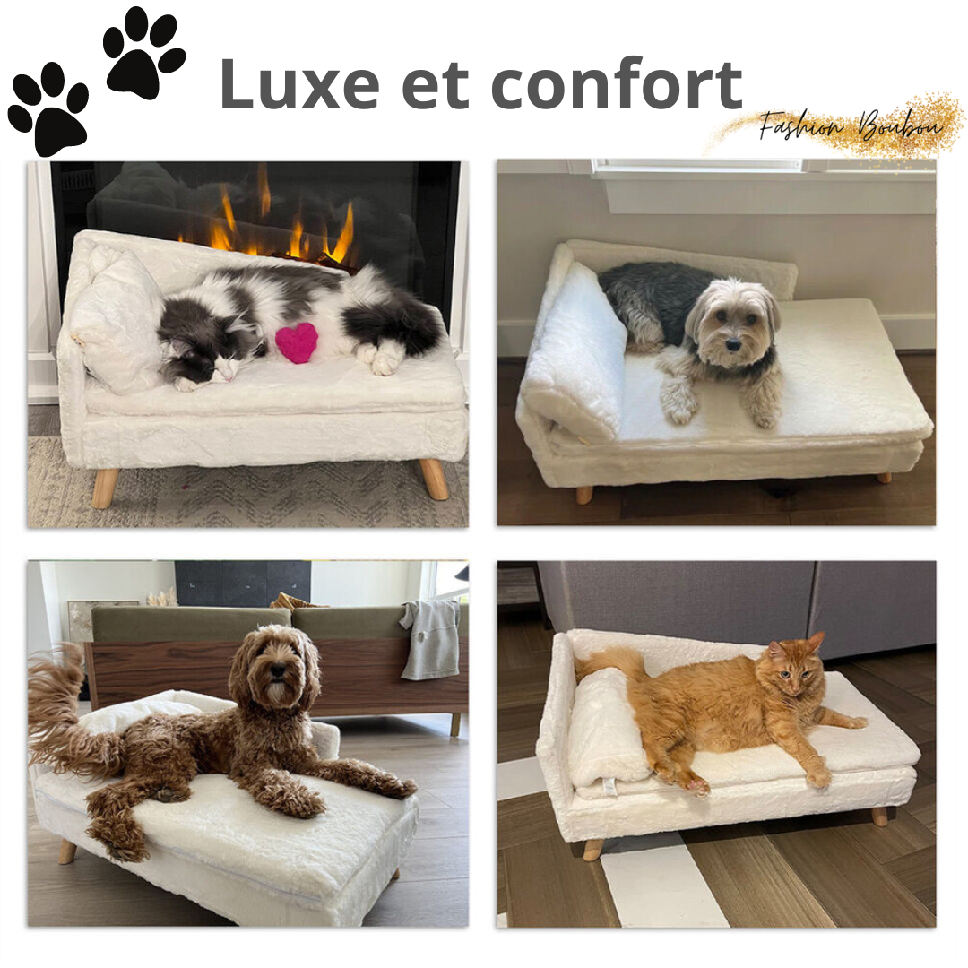 LOUNGY-SOFA™ Canapé lit pour chien