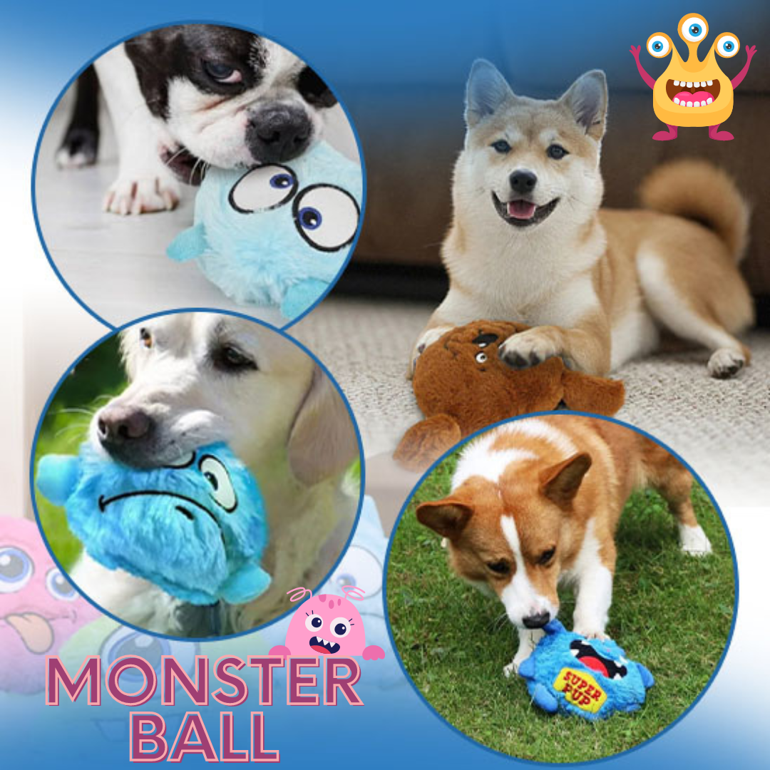 MONSTER-BALL™ Balle interactive pour chien