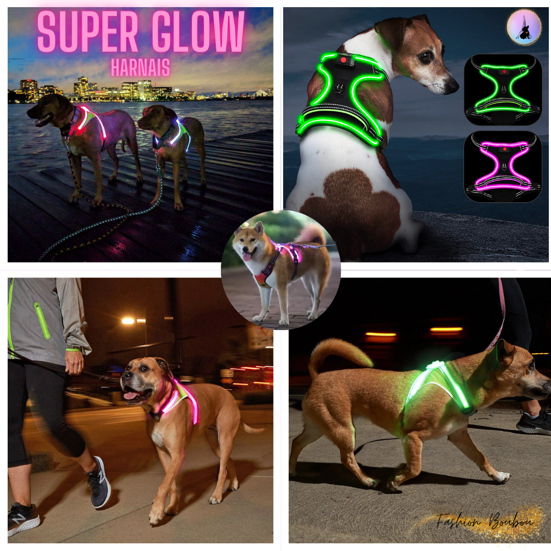 SUPER-GLOW™HARNAIS-LED-ANTITRACTION