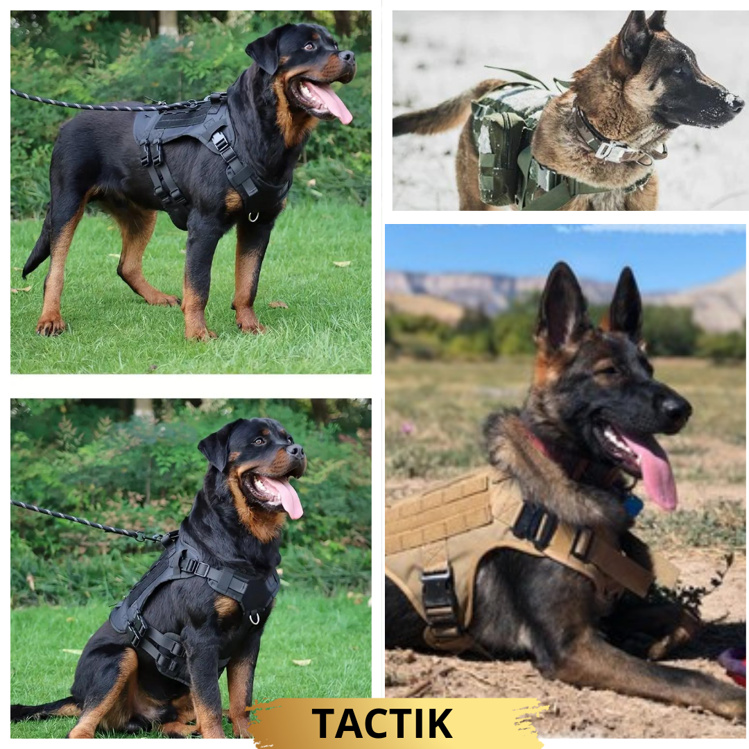 TACTIK-HARNAIS™ Harnais réglable pour chien