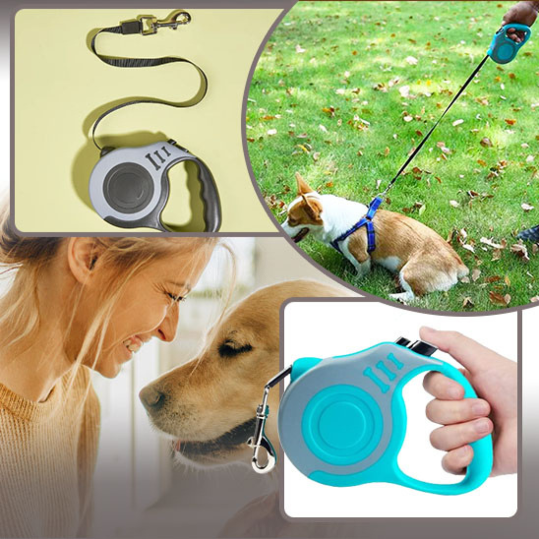 RE-TRACK™Laisse rétractable pour animaux de compagnie