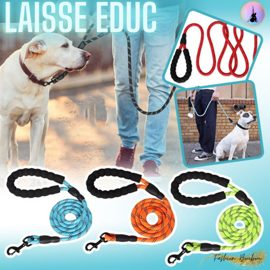 Laisse-pour-chien-LaisseEduc™