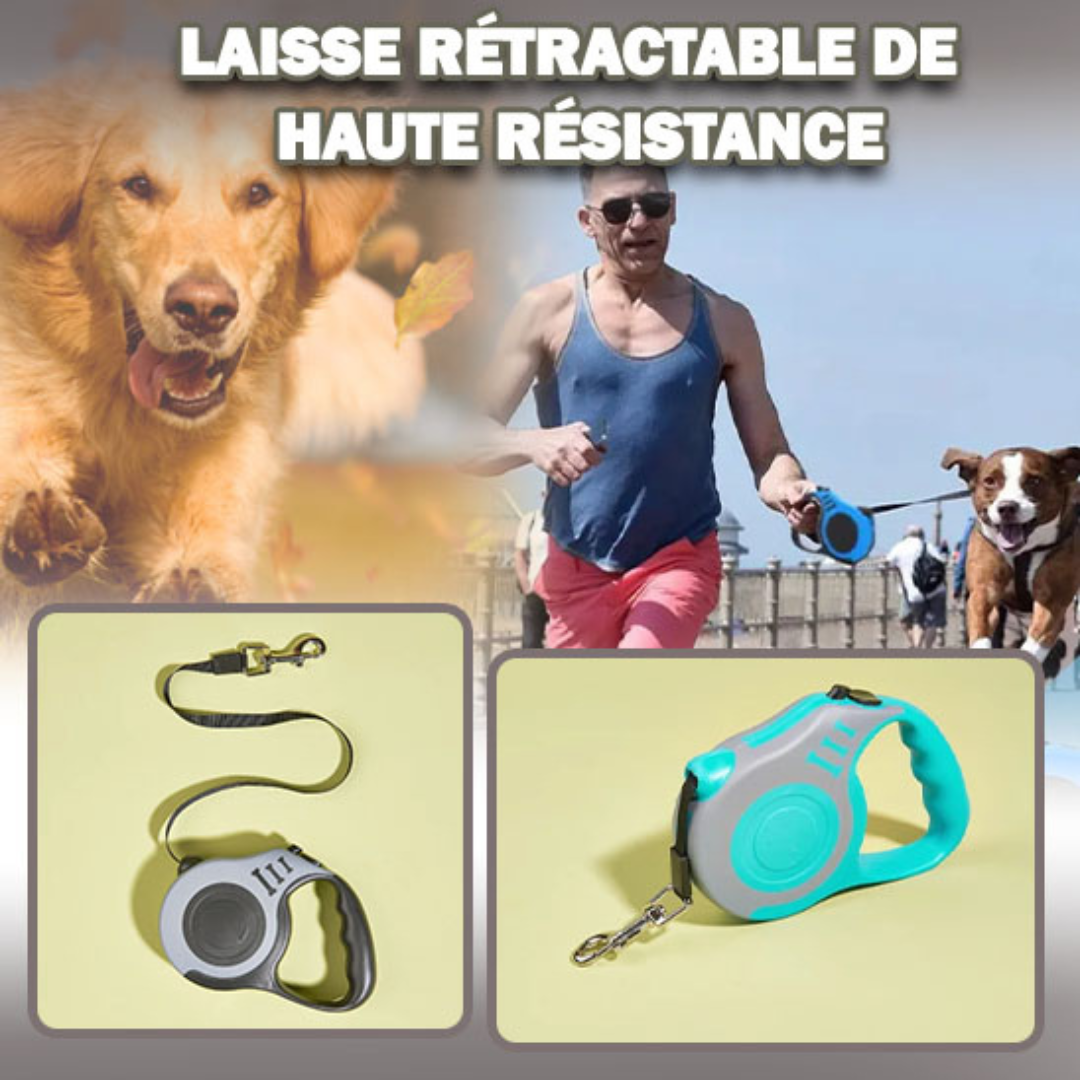 RE-TRACK™Laisse rétractable pour animaux de compagnie