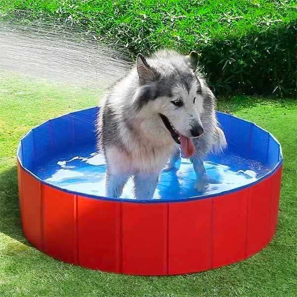 FUNPOOL™| PISCINE PLIABLE POUR CHIEN