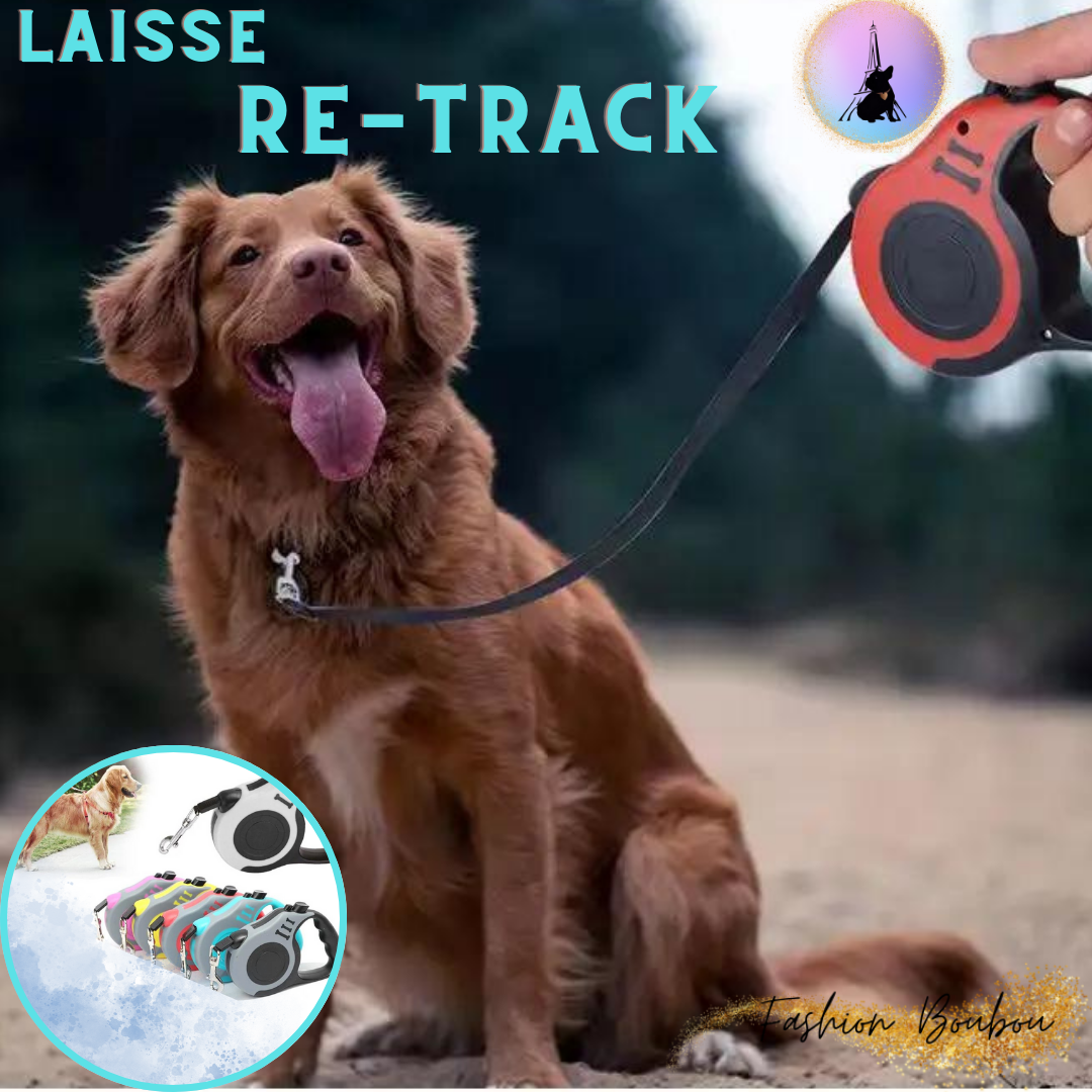 RE-TRACK™Laisse rétractable pour animaux de compagnie