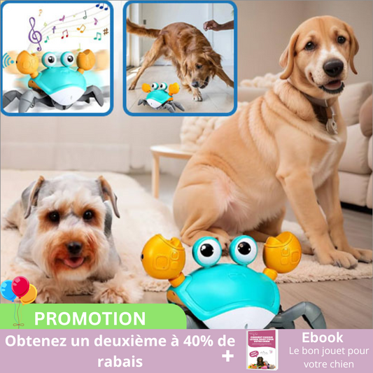 CRAB-ME™| jouet intéractif pour chien