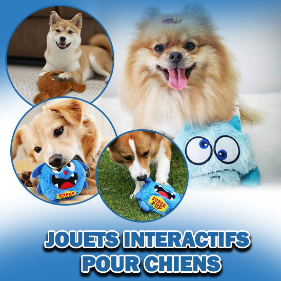 MONSTER-BALL™ Balle interactive pour chien