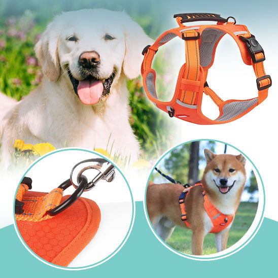 Harnais-COMFY-WALK™ Harnais pour animaux de compagnie