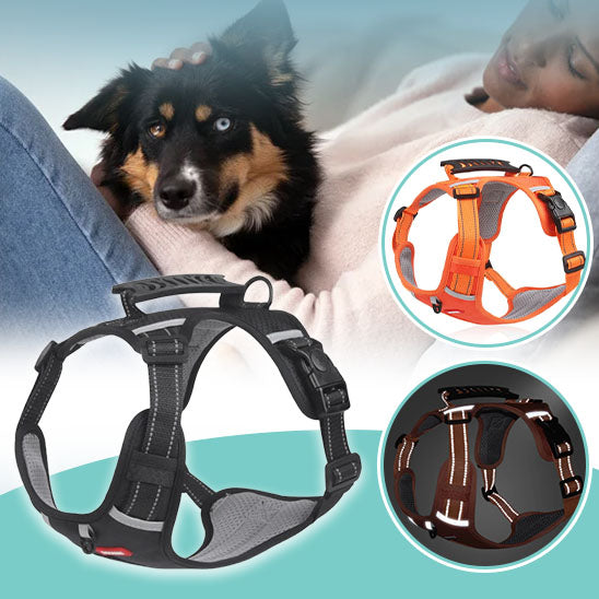 Harnais-COMFY-WALK™ Harnais pour animaux de compagnie