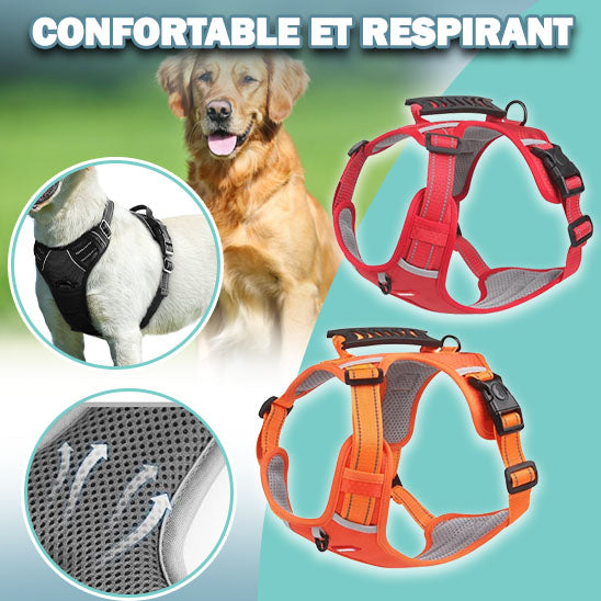 Harnais-COMFY-WALK™ Harnais pour animaux de compagnie