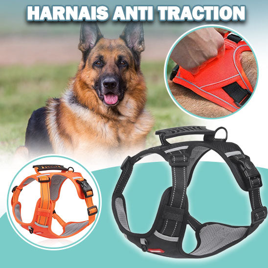 Harnais-COMFY-WALK™ Harnais pour animaux de compagnie