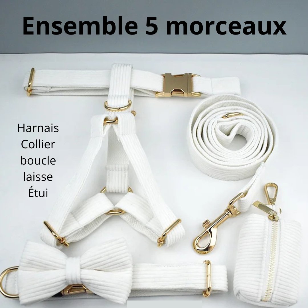 Harness kit - Glamorous White™ - Fashion boubou