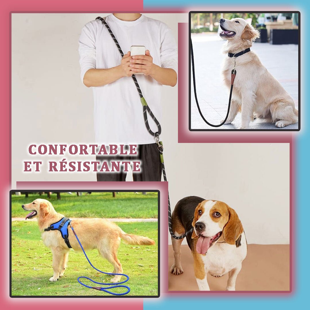 Maxi-Moove™ Hands Free leash- Laisse pour chien Maxi-Move Mains Libres - Fashion boubou