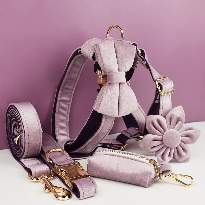 PURPLE CHIC™ kit de marche -harnais-laisse-collier-accesoires - Fashion boubou