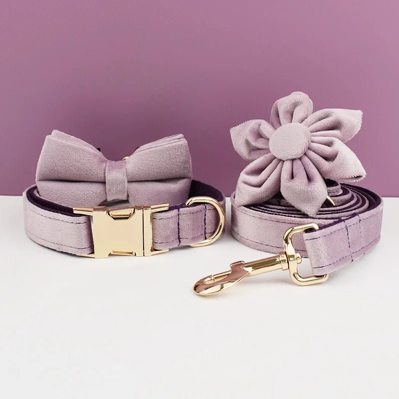 PURPLE CHIC™ kit de marche -harnais-laisse-collier-accesoires - Fashion boubou