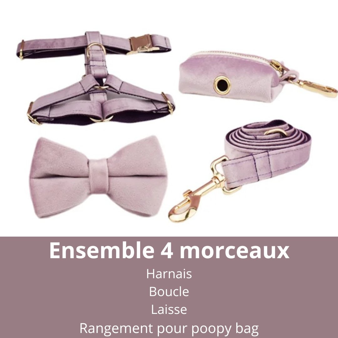 PURPLE CHIC™ kit de marche -harnais-laisse-collier-accesoires - Fashion boubou